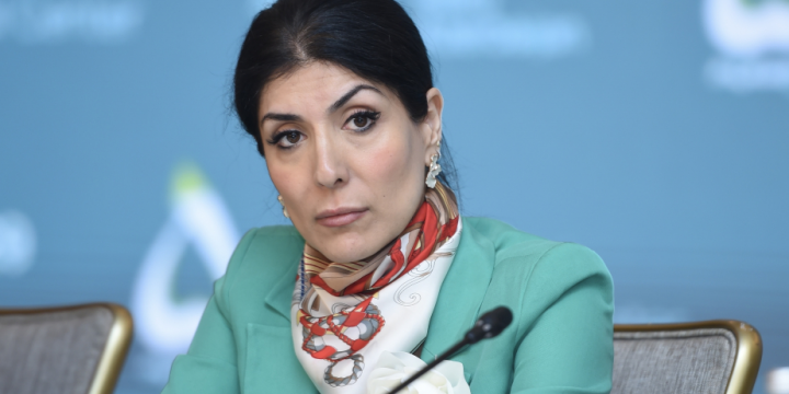 Nigar Arpadarai: The key priority at COP29 is to attract investment in addressing challenges of climate change