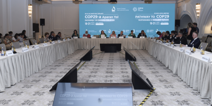 Baku-hosted High-Level Meeting features panel session on “The role of Science, Technology and Innovation”