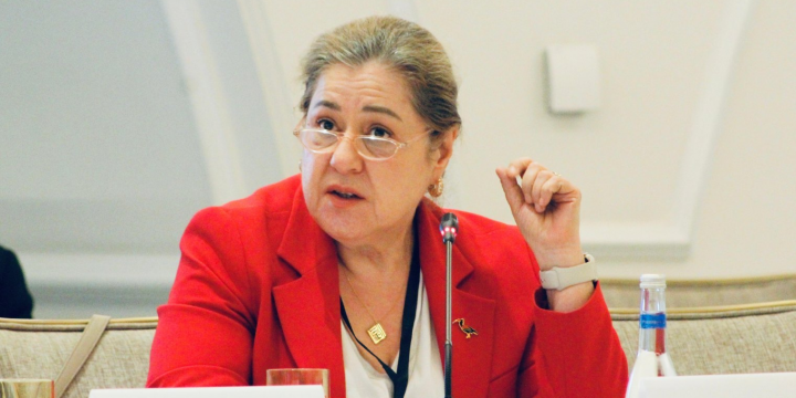 Hande Harmancı: COVID-19 bizə təxminən 14 trilyon dollara başa gəlib