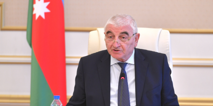 Mazahir Panahov: Central Election Commission registered candidacies of 431 persons for parliamentary seats