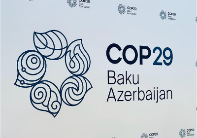 Bu gün COP29-un sonuncu tematik günü – “Təbiət və Biomüxtəliflik / Yerli İnsanlar / Gender Bərabərliyi / Okeanlar və Sahil Zonaları Günü”dür