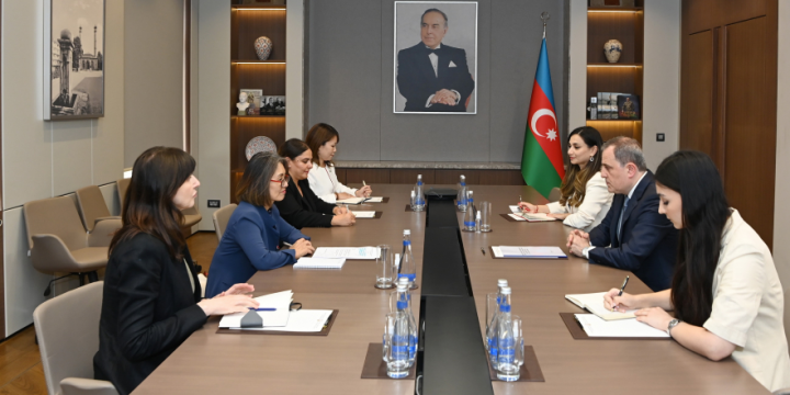 Azerbaijan`s FM and UN Regional Director explore COP29 preparations