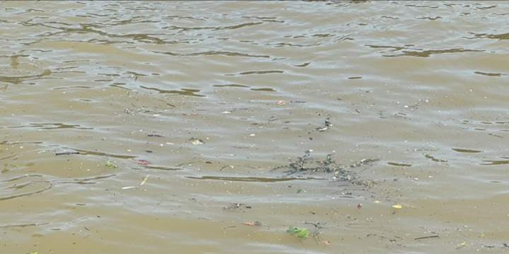 Pollution levels in Seine River allegedly exceed Olympic data: Report