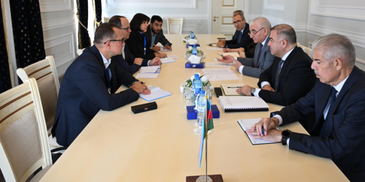 CEC Chairman meets with head of OSCE/ODIHR election observation mission