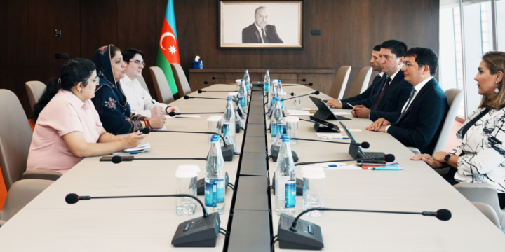 Azerbaijan’s First Deputy Minister of Economy discuss green energy with IPC delegation