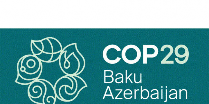 COP29 könüllüləri Xəzər dənizinin Lənkəran sahilində təmizlik aksiyasında iştirak ediblər