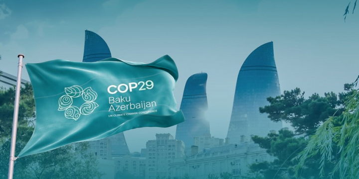 COP29 qlobal sülh üçün də mühüm platforma olacaq