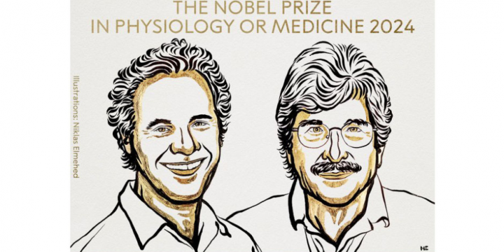 2024 Nobel Prize in physiology or medicine jointly awarded to Victor Ambros, Gary Ruvkun