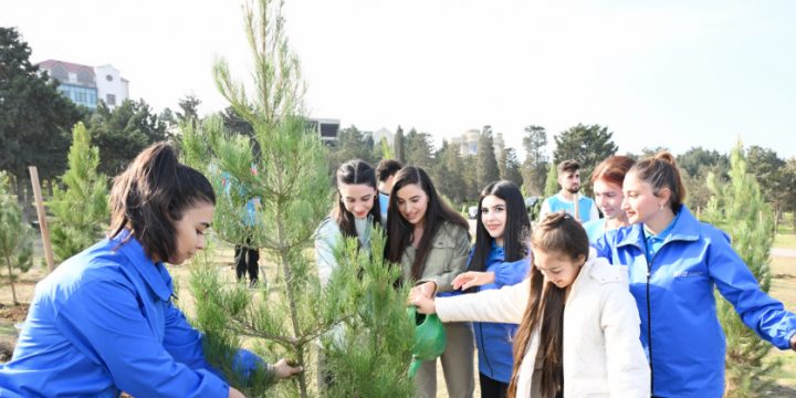 Leyla Əliyevanın iştirakı ilə Sabunçu rayonunda ağacəkmə aksiyası keçirilib