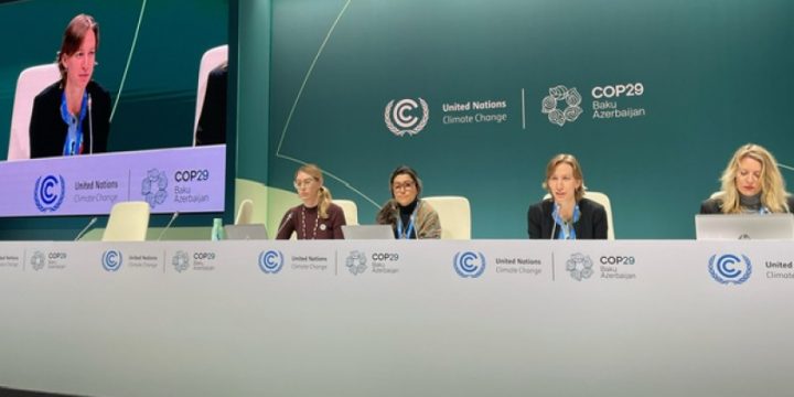 COP29 platformasında mətbuat konfransları keçirilib