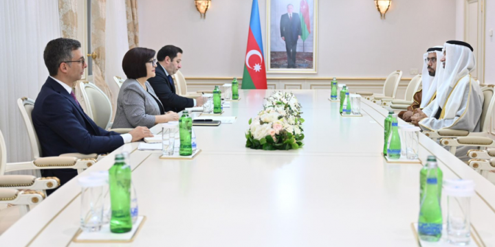 Speaker of Azerbaijan’s Parliament meets with President of Global Council for Tolerance and Peace