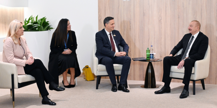 President Ilham Aliyev met with Chairman and member of Presidency of Bosnia and Herzegovina