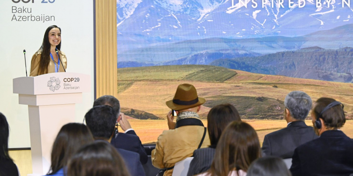 COP29 çərçivəsində Heydər Əliyev Fondunun “Azərbaycan. Təbiətin sehrində” nəşri təqdim edilib