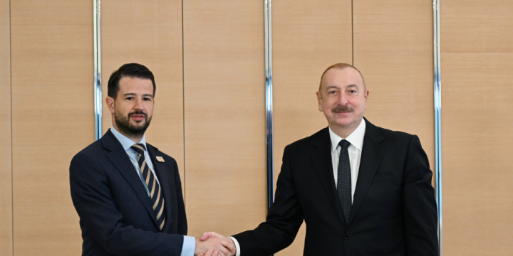 President Ilham Aliyev met with President of Montenegro