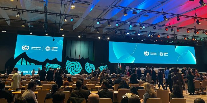 COP29 Azərbaycanın beynəlxalq  münasibətlər sistemində  mövqeyini daha güclü hala gətirəcək