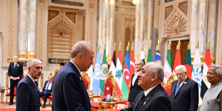 Azerbaijani Prime Minister holds series of meetings during 11th Summit of D-8 Organization for Economic Cooperation