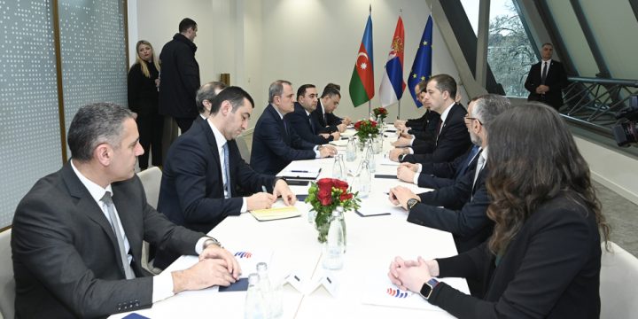 Azerbaijani FM briefs Serbian counterpart about projects implemented in Karabakh and East Zangezur regions