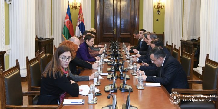 Azerbaijan, Serbia discuss prospects of strategic partnership