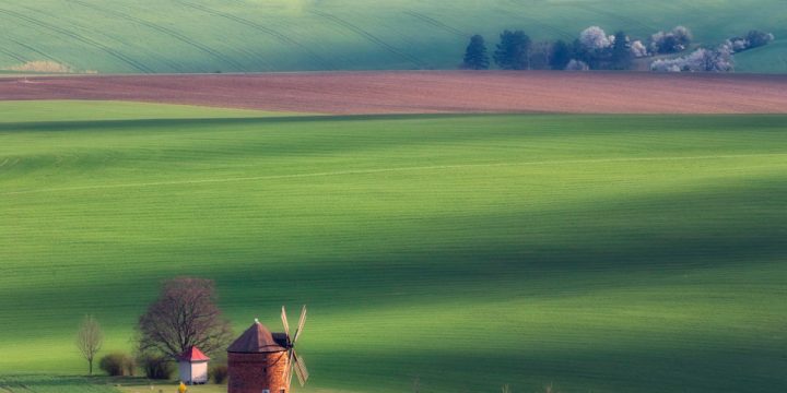 “Dünyanı yenidən yaşıl edək” mövzusunda beynəlxalq fotomüsabiqənin qalibləri məlum olub