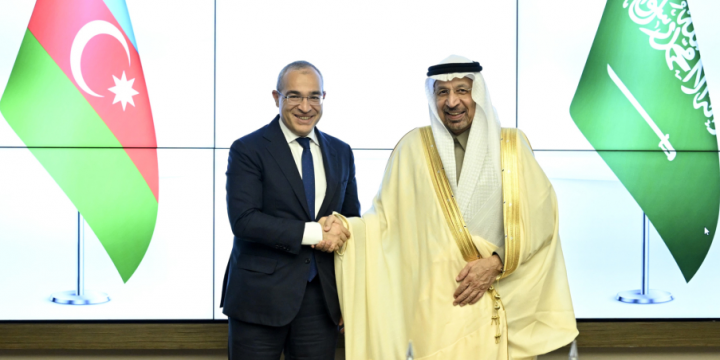 Azerbaijan and Saudi Arabia discuss priorities of green energy agenda