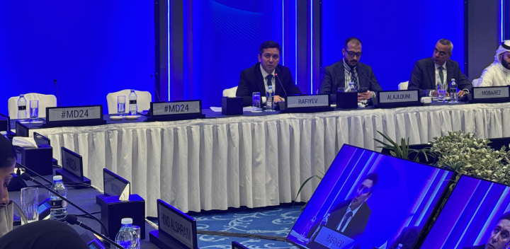 Yalchin Rafiyev attends IISS Manama Dialogue 2024