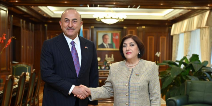 Azerbaijan, Türkiye enjoy high-level interparliamentary cooperation