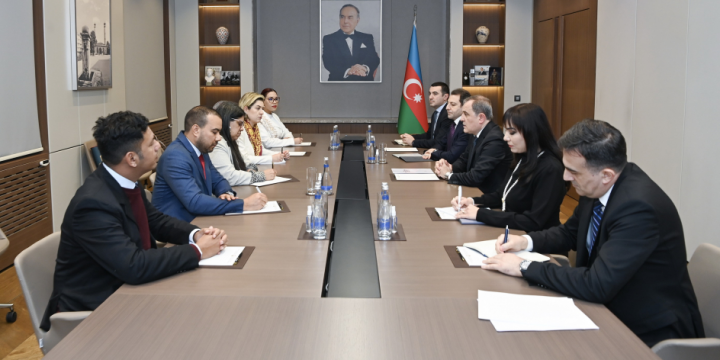 Foreign Ministers of Azerbaijan and Venezuela hold political consultations