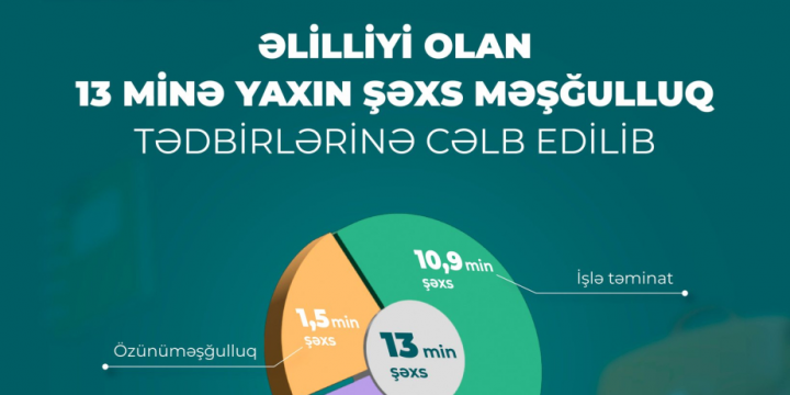 Son bir ildə əlilliyi olan 13 minə yaxın şəxs məşğulluq tədbirlərinə cəlb edilib