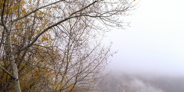 Sabah hava şəraitinin dəyişkən buludlu olacağı gözlənilir