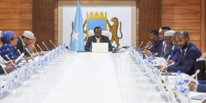 Somali Council of Ministers approves cooperation agreements with Azerbaijan