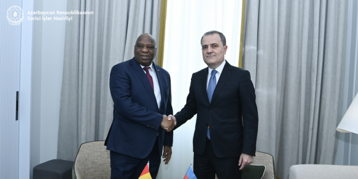 Azerbaijan, Guinea explore collaboration opportunities in various sectors