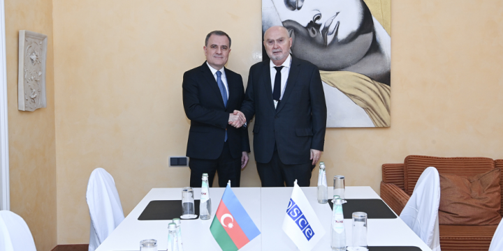 Azerbaijan, OSCE discuss key areas of bilateral cooperation