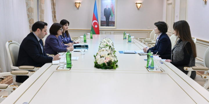 Speaker of Azerbaijan’s Milli Majlis meets with President of Turkic Culture and Heritage Foundation