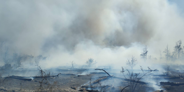 Firefighters in all-out efforts to contain main blaze in South Korea’s Daegu