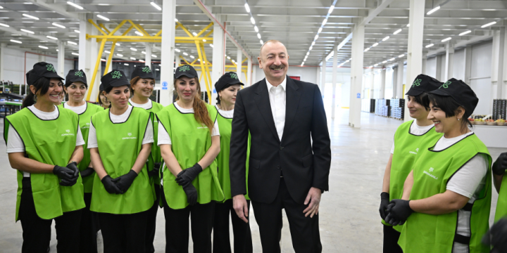 President Ilham Aliyev inspected operations of horticulture and cold storage complex in Gusar District