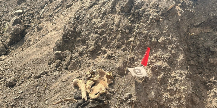 State Commission: Another mass grave discovered in Khojaly