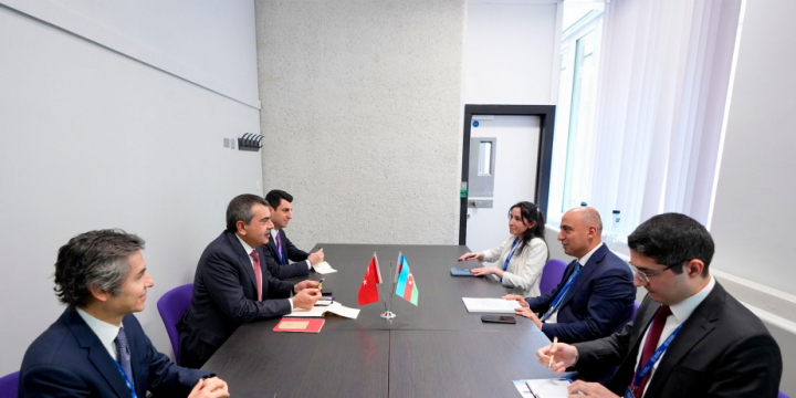 Azerbaijan, Türkiye explore educational cooperation