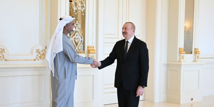 President Ilham Aliyev received business delegation from United Arab Emirates