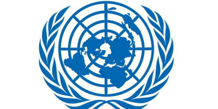 UN Office for South-South Cooperation commends establishment of Global South NGO Platform in Baku