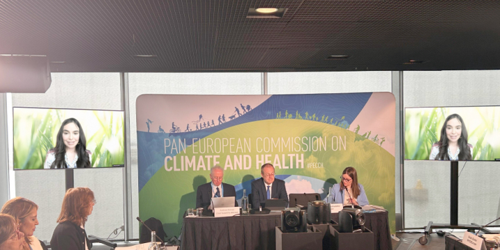 Leyla Aliyeva joins high-level WHO climate and health event via video conference
