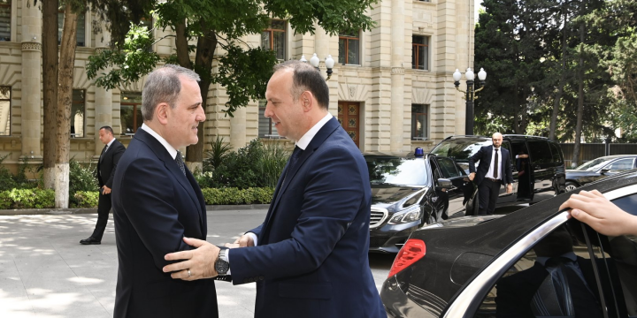 Azərbaycan və Şimali Makedoniya arasında bərpaolunan enerji istiqamətləri üzrə tərəfdaşlıq müzakirə edilib