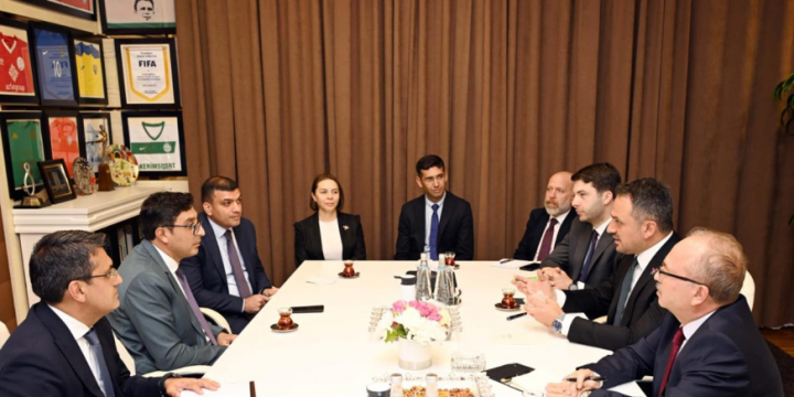 Azerbaijan, Türkiye explore cooperation in sports