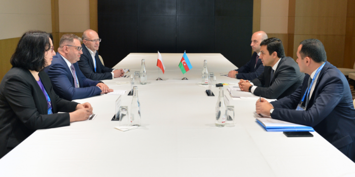 Azerbaijan, Poland discuss expansion of institutional tax cooperation