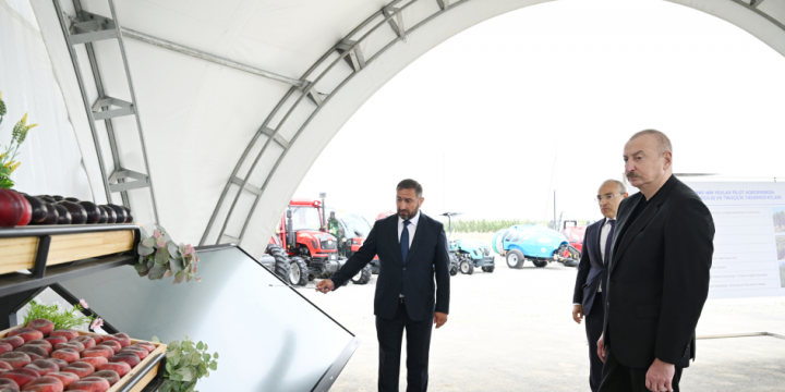Prezident İlham Əliyev Yevlax pilot aqroparkının açılışında iştirak edib