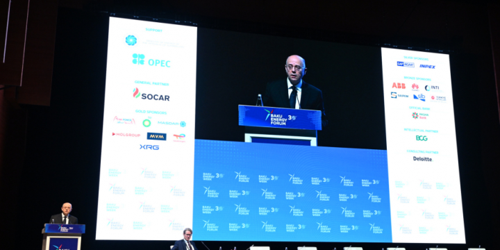 Minister: Azerbaijan will complete first phase of green energy development with commissioning of 10 solar and wind power plants