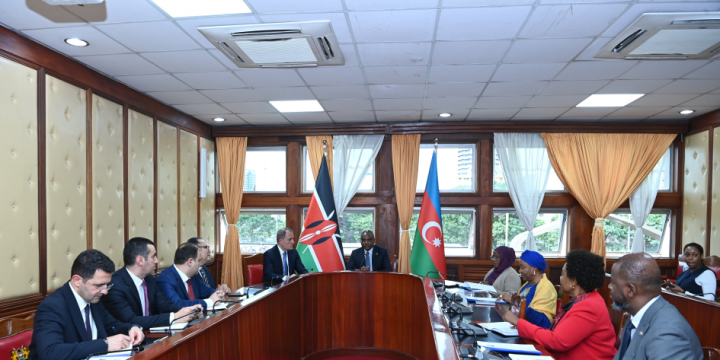 Azerbaijan, Kenya explore enhancement of interparliamentary dialogue