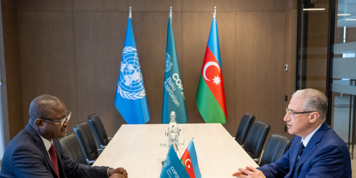 COP29 President meets with Guinea-Bissau’s Environment Minister
