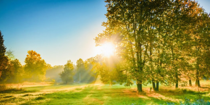 Sabah Azərbaycanda havanın temperaturu 39 dərəcəyədək yüksələcək