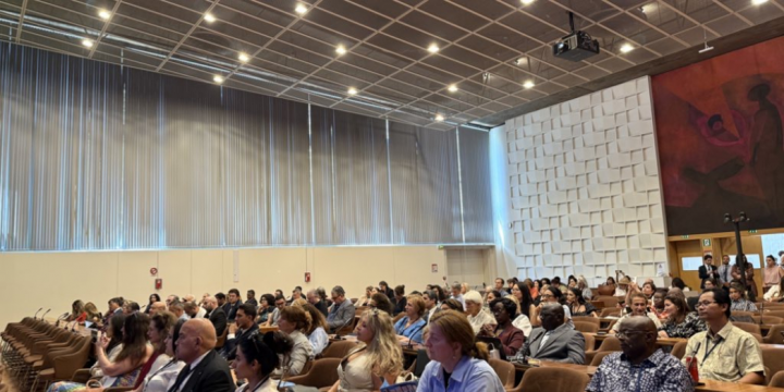Conservation of Azerbaijan’s cultural heritage highlighted at UNESCO