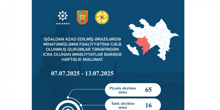 ANAMA: 81 mines and 240 UXOs neutralized last week